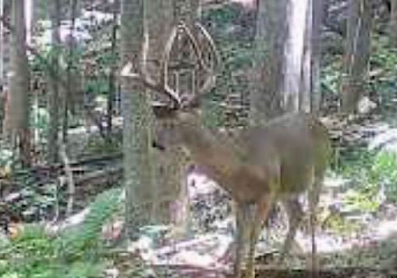 image000000