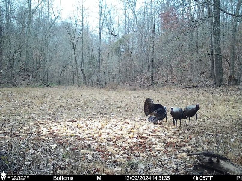 trail cam12