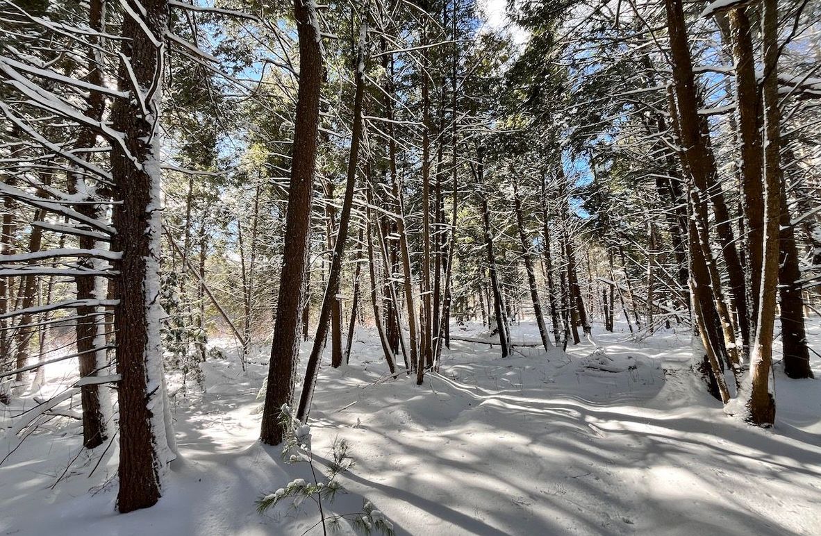 Oswego_11.78_Somberg Photo 2