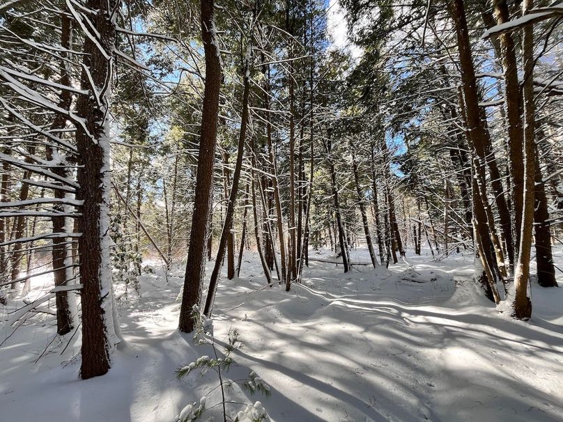 Oswego_11.78_Somberg Photo 2