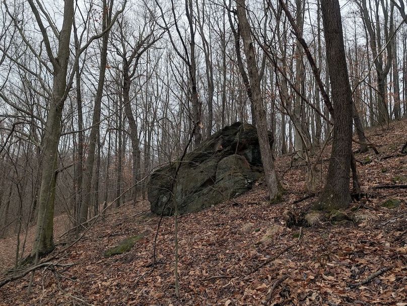 PXL_20260107_170304649