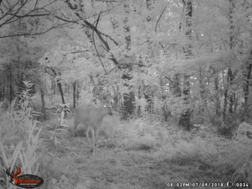 15029-MMS-1531604090844-attachment1-622