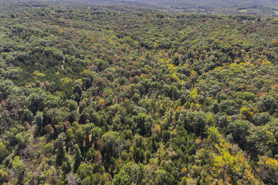 DJI_20241003130320_0389_D