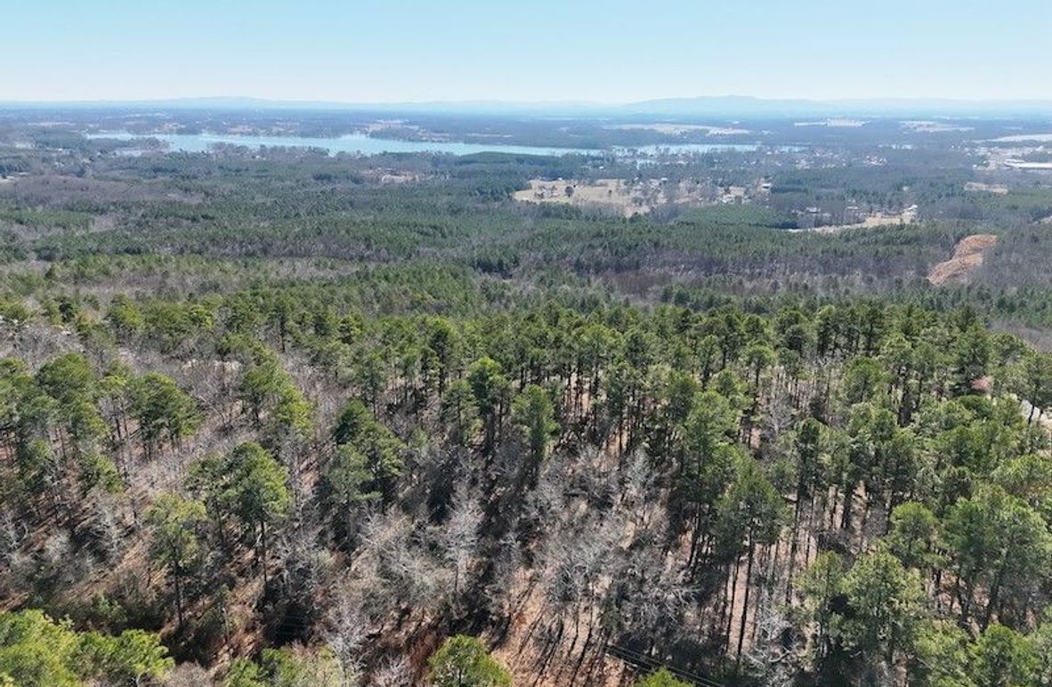 DJI_20260212111156_0004_V