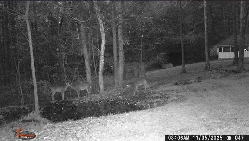 Screenshot 2025-11-13 154644