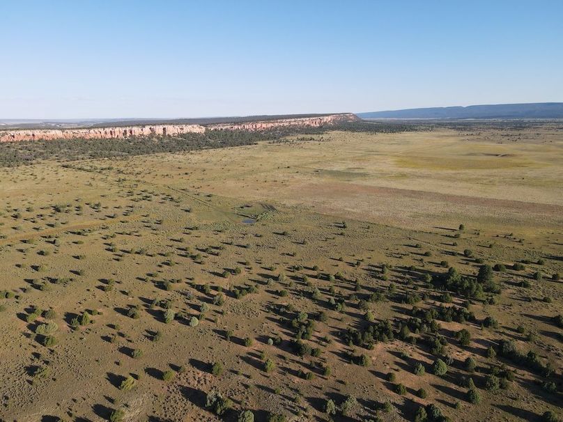 dji_fly_20240816_074824_507_1723816132223_photo