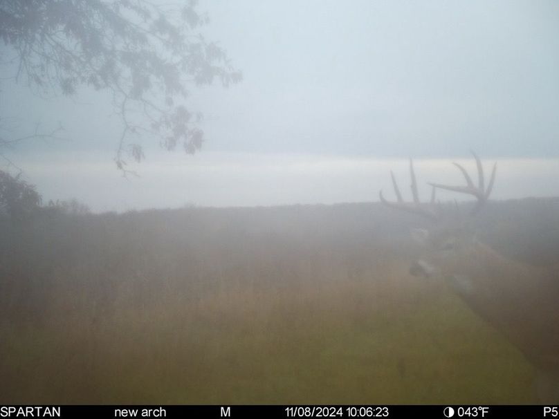 File Nov 09 2024, 9 31 35 PM