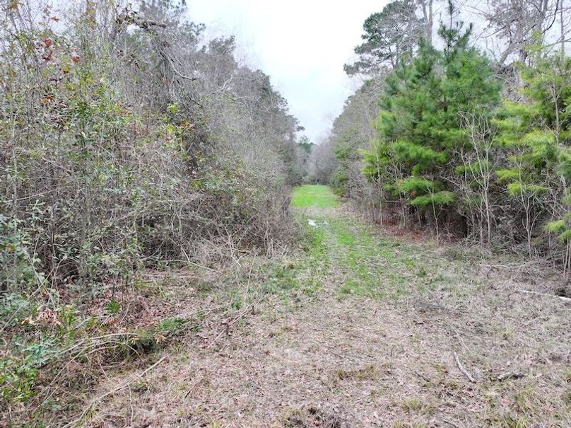 dji_fly_20260123_130916_0932_1769444778418_photo