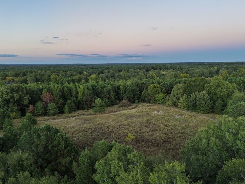 31 Edited Harison co. 206 - Ed Robb-061