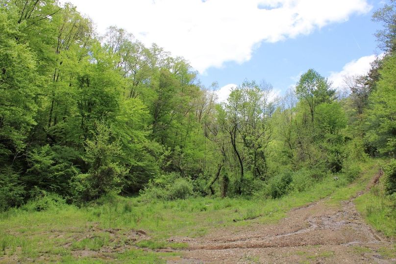 006 ground view of the cabin_house seat