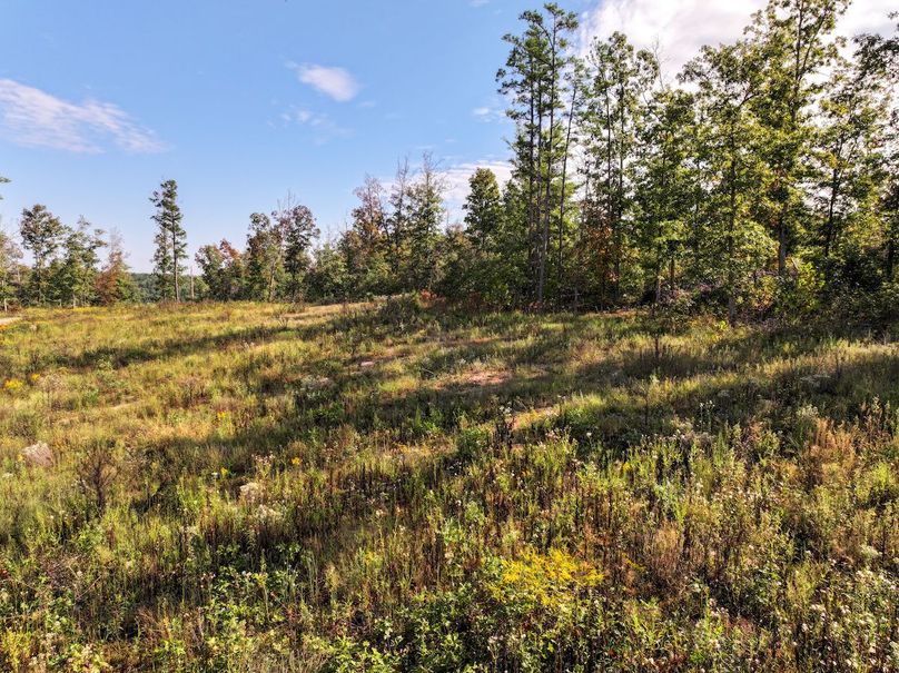 DJI_20250925100618_0705_D