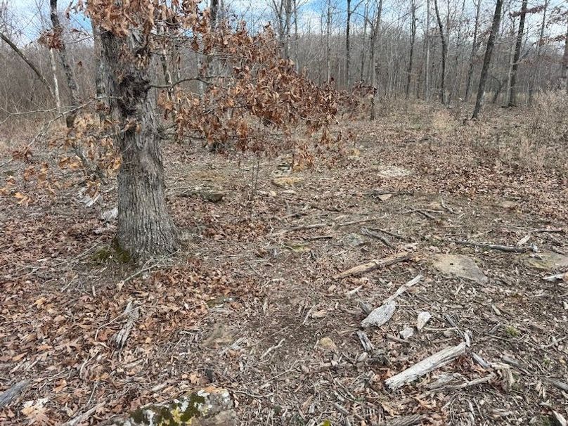 stone8020260306_0090