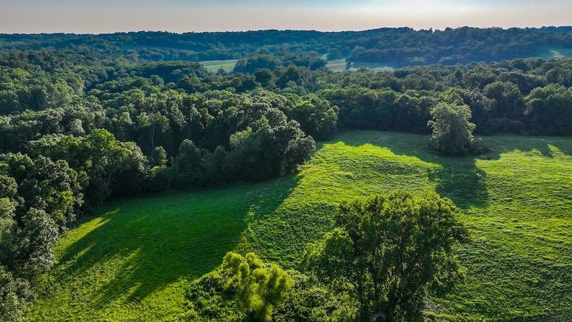 dji_fly_20250705_195452_0424_1751759911118_photo