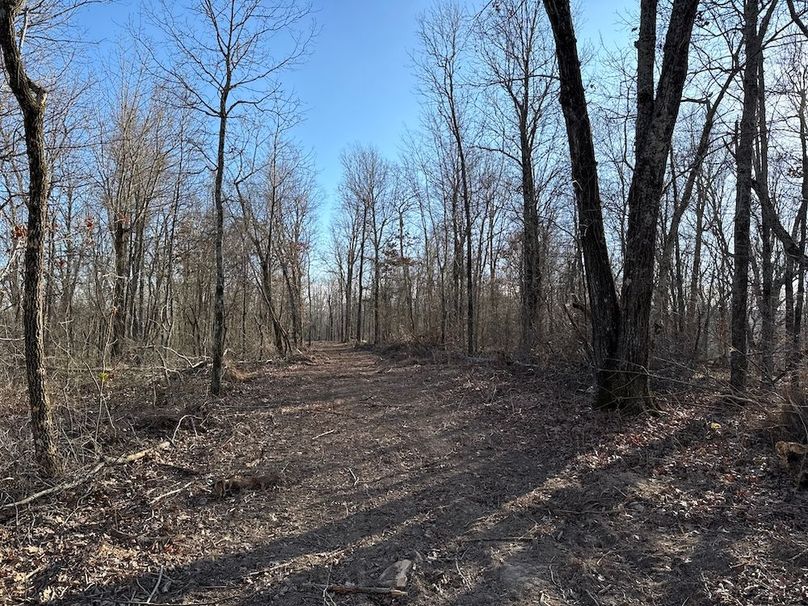 DJI_20260113_152613_002