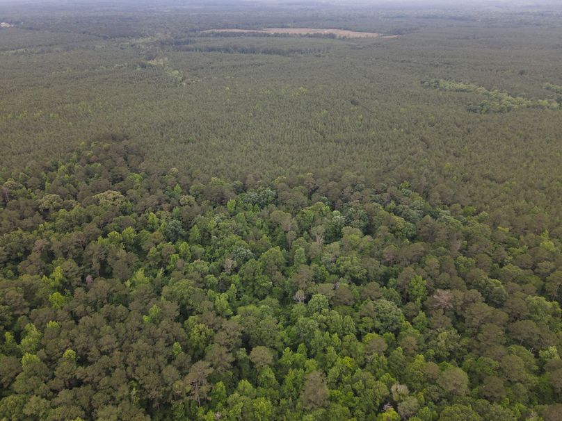 DJI_0837