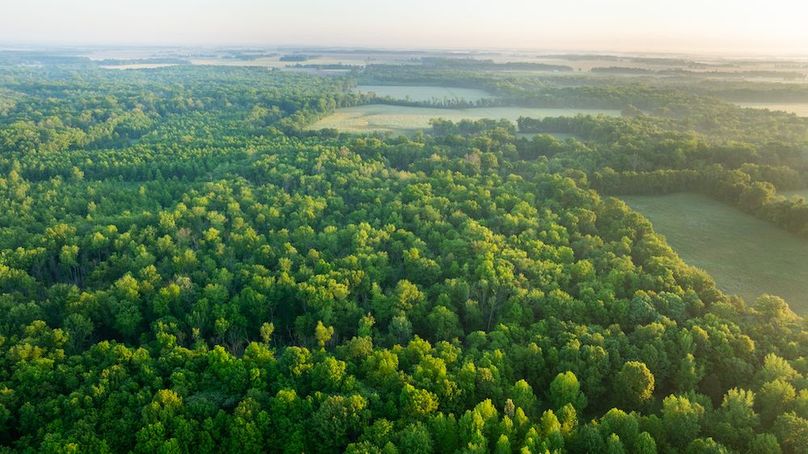 DJI_20250514053313_0019_D