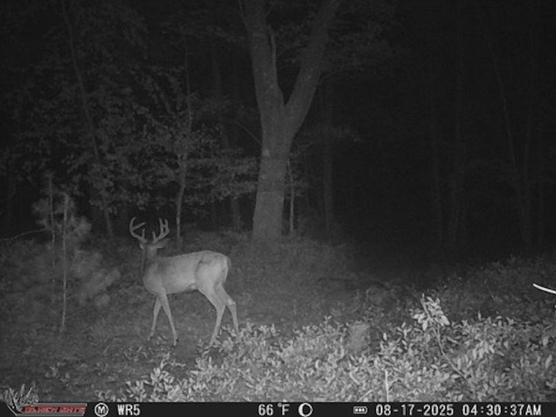 383F0E15-2E4D-4F9E-B01D-72ED1C0AE85D_4_5005_c