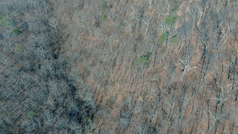 DJI_20260325113912_0072_D