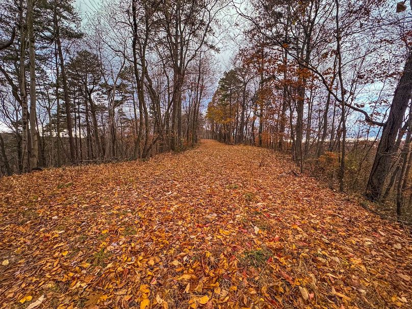 Ritchie, WV 14.081 AC Currey-36