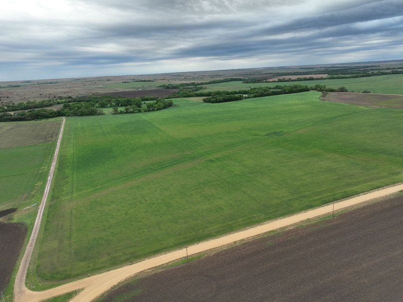 Copy of dji_fly_20240501_075648_966_1714569025651_photo