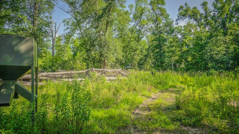 Copy of 8-20250710_100131