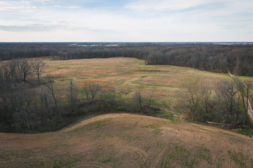 DJI_20260324173416_0005_D-HDR