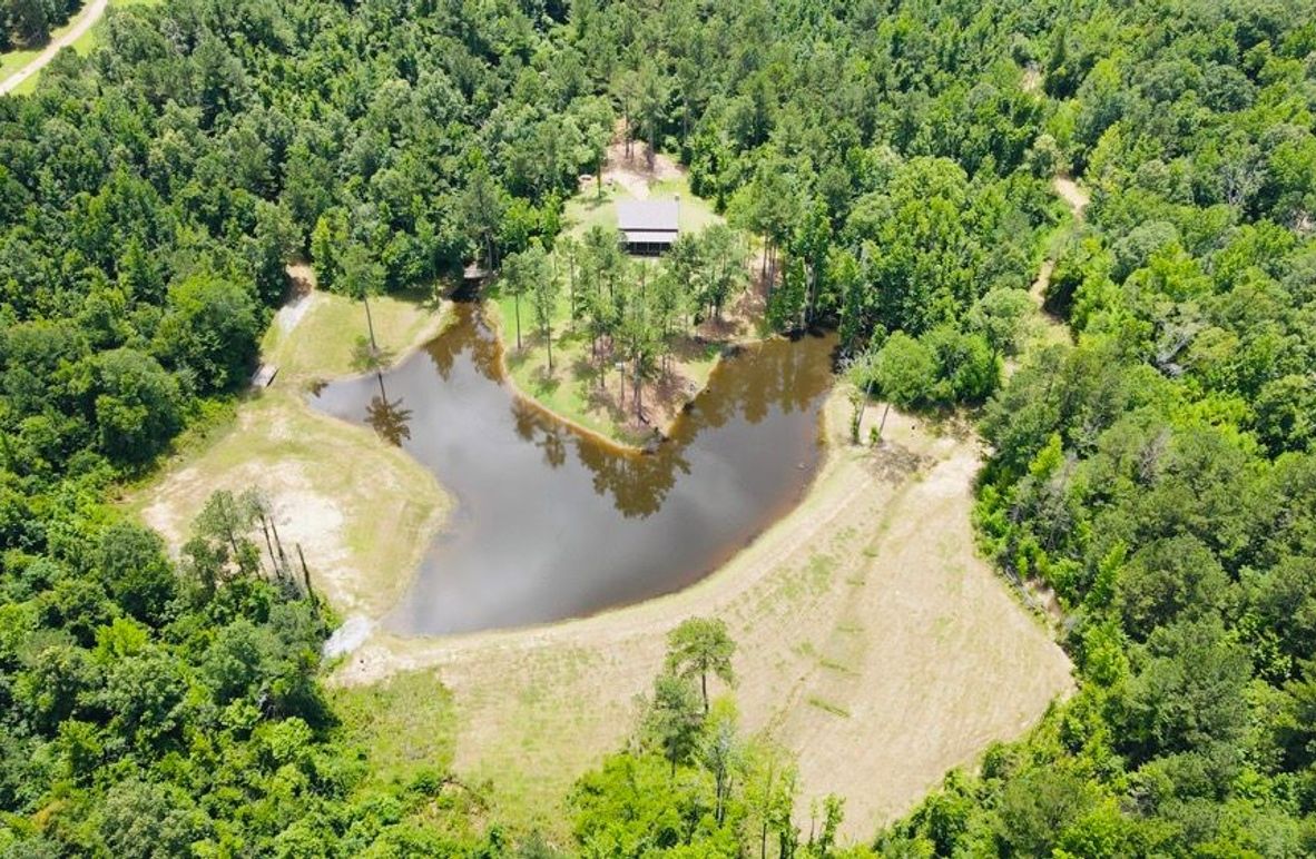 dji_fly_20250618_133524_842_1750271735666_photo