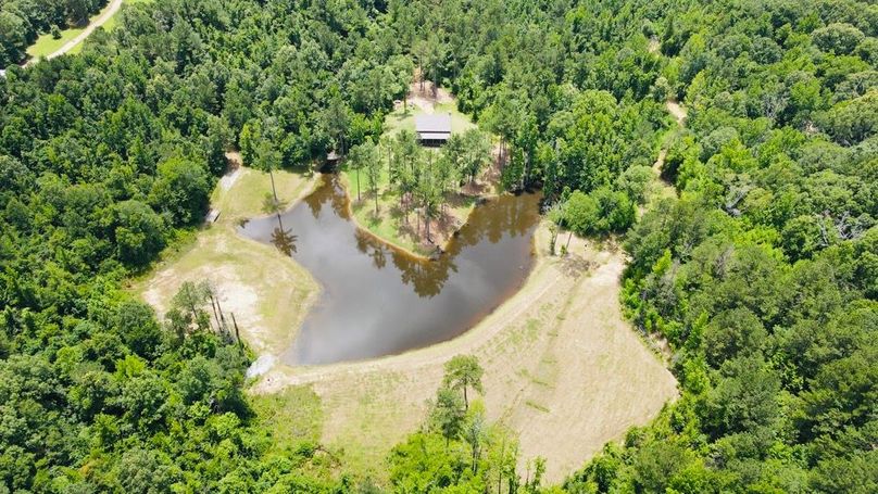 dji_fly_20250618_133524_842_1750271735666_photo