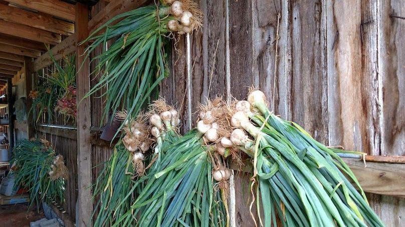 IMG_20170617_143045306_HDR