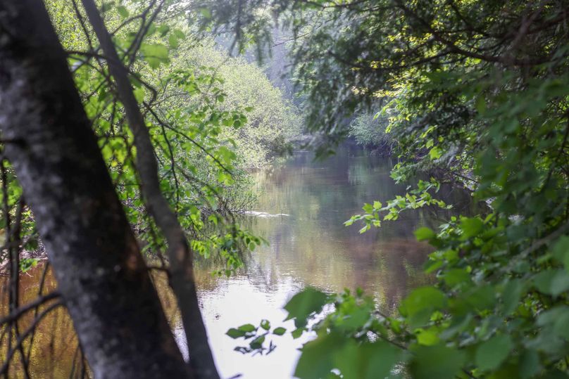 Chippewa85Knowles-5784