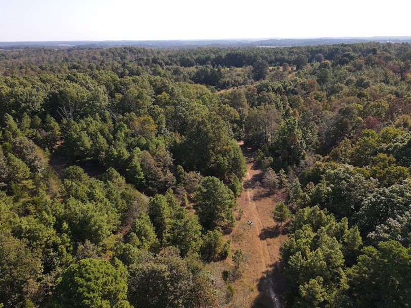 dji_fly_20250902_095158_711_1756824728005_photo