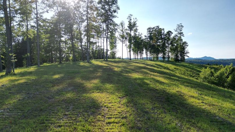 Copy of dji_fly_20240703_134638_526_1719964238178_photo