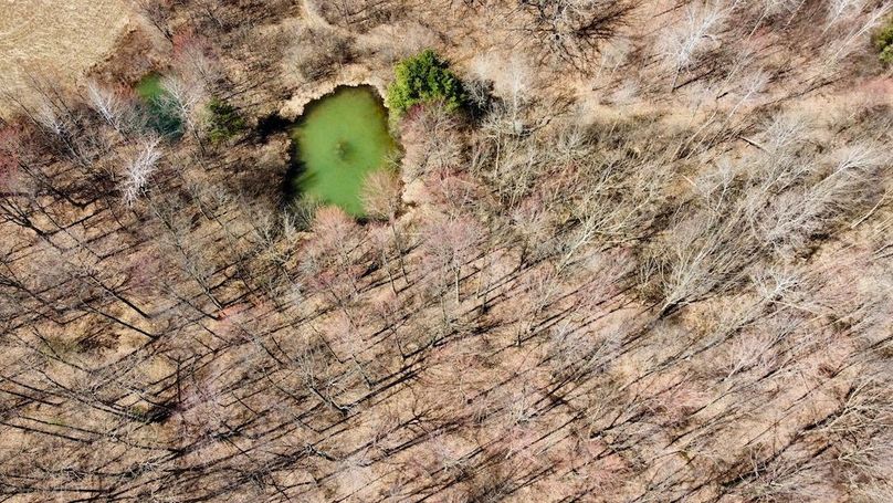 dji_fly_20250416_120912_842_1744914764933_photo_optimized