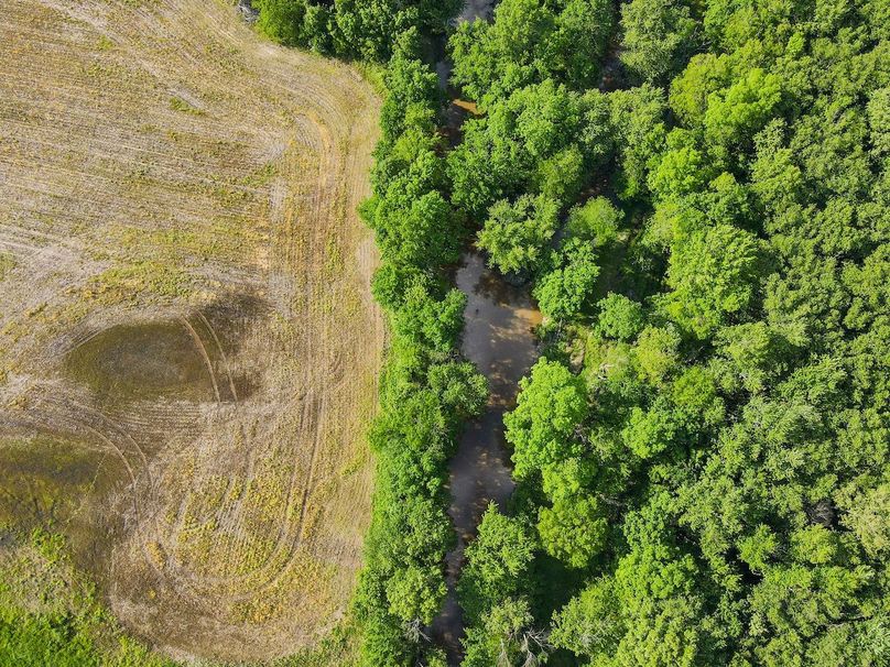 vandalia 450 (2)-3202