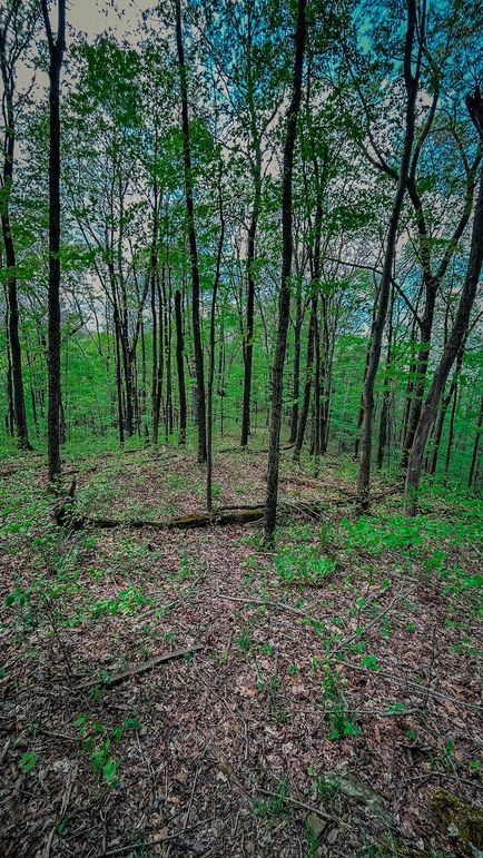 Doddridge, WV 64.69 AC Davis-25