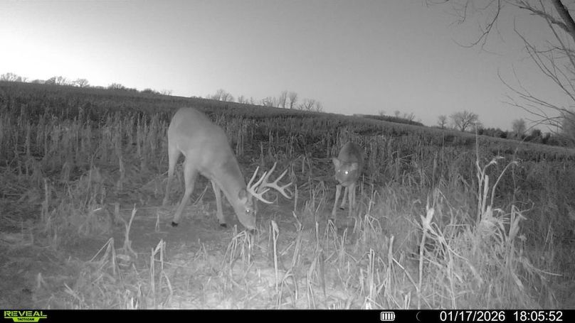 016578000659844-88-0-01172026180552-SYFW14047