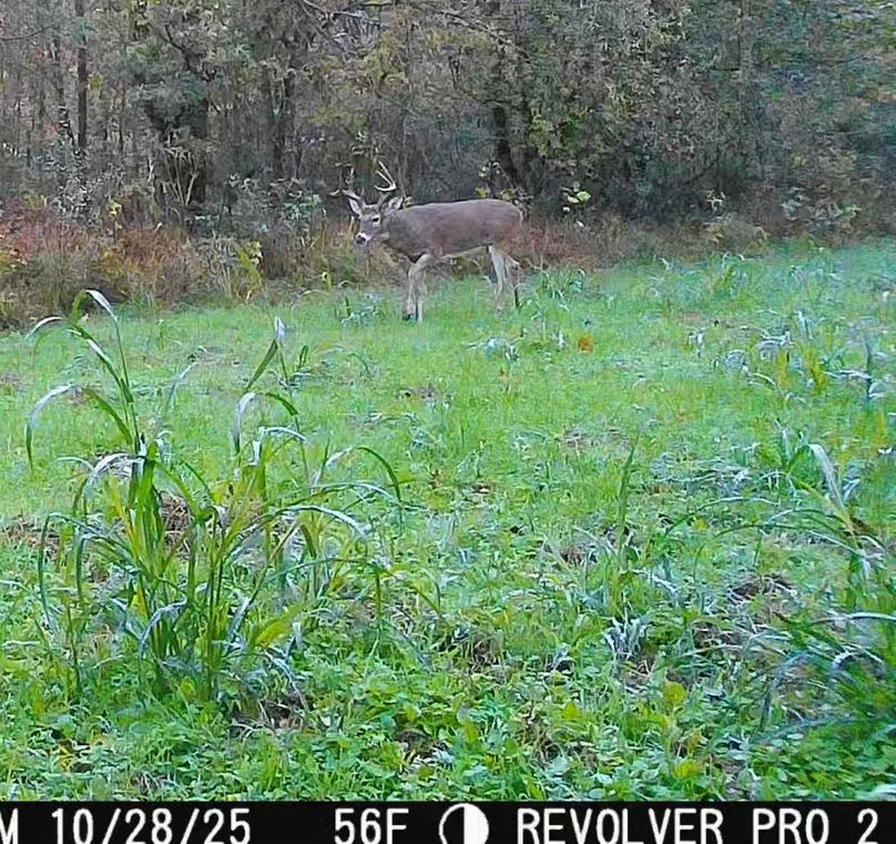 93D6E5C9-3819-4285-8DC1-54E926629BB2_1_201_a