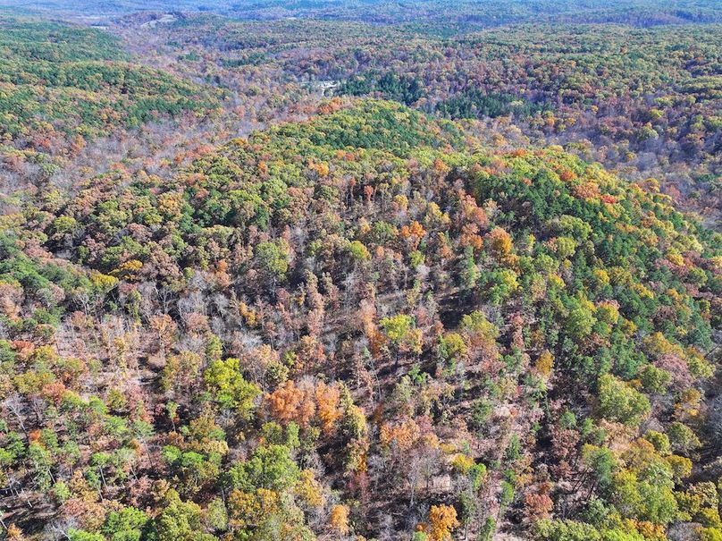 DJI_20251104130109_0832_D