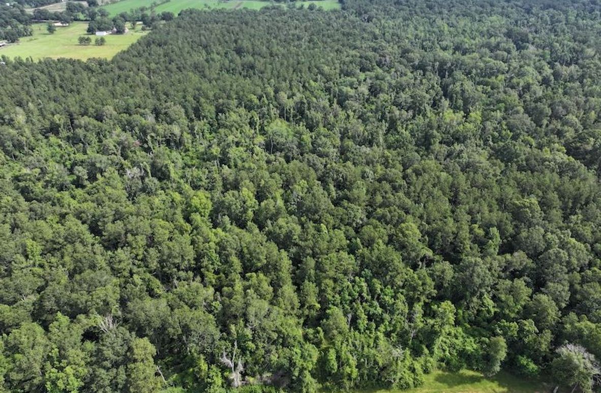 dji_fly_20250624_100204_0127_1750950819253_photo