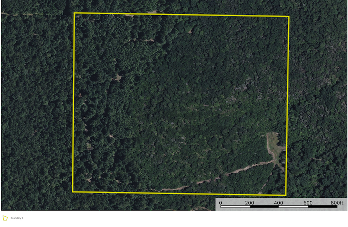 Carroll 40 Google Close