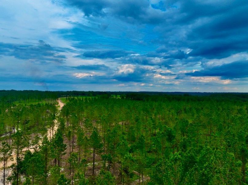 9E9D2908-EEEC-4CCA-9E0E-FDCC4AD712E6_1_105_c