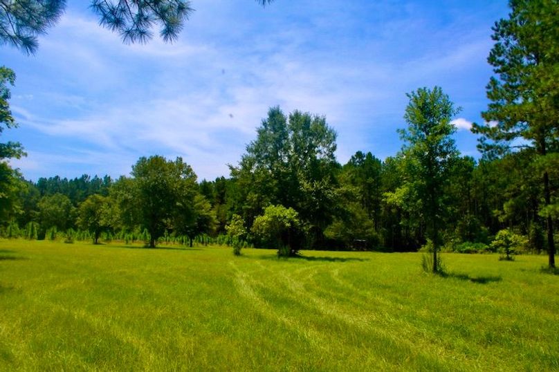 A43290DB-E9F1-466E-B118-6ABDA780A41B_1_105_c