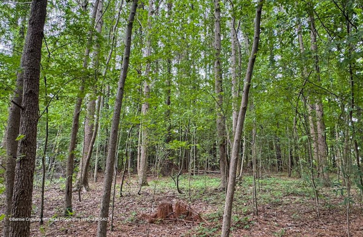 Phillips 58 Coats -07