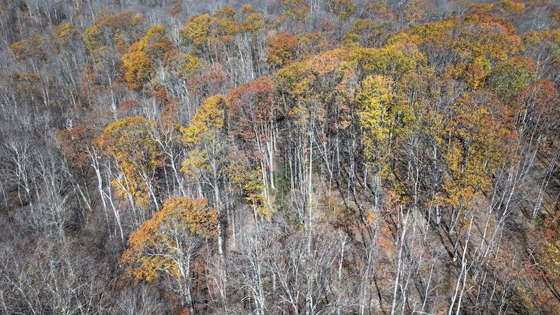 Somerset, 10.91, Tinkey-03