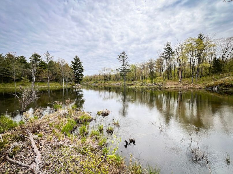 Jefferson_148.1_Flood_Photos_67