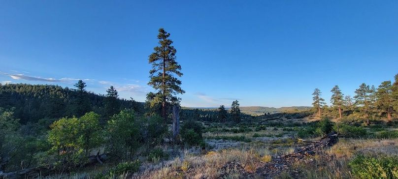 Copy of 20210827_071343 (1)