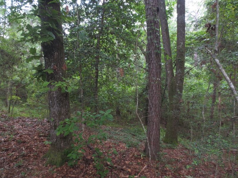 1E7CBA92-D11E-4C1A-82FC-304466286E10_1_105_c