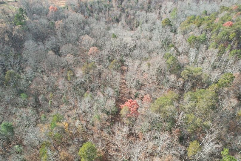 dji_fly_20251120_031310_960_1763685562747_photo