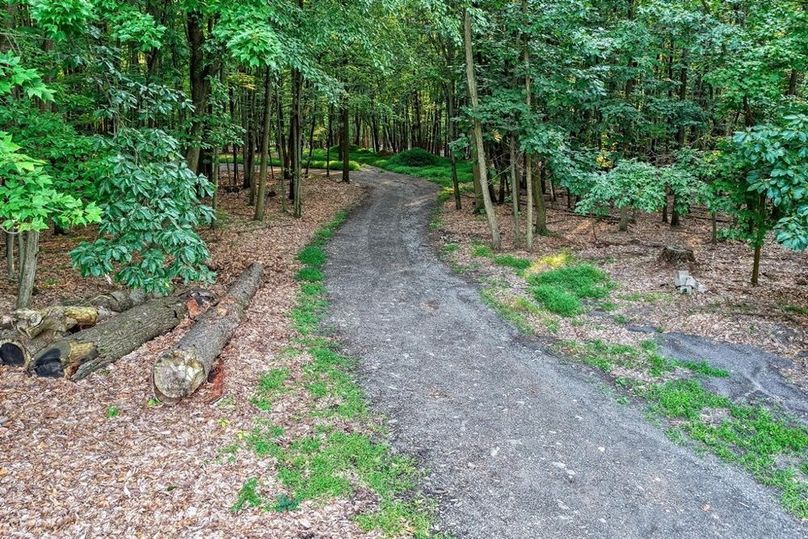 Franklin 59.85_047-2