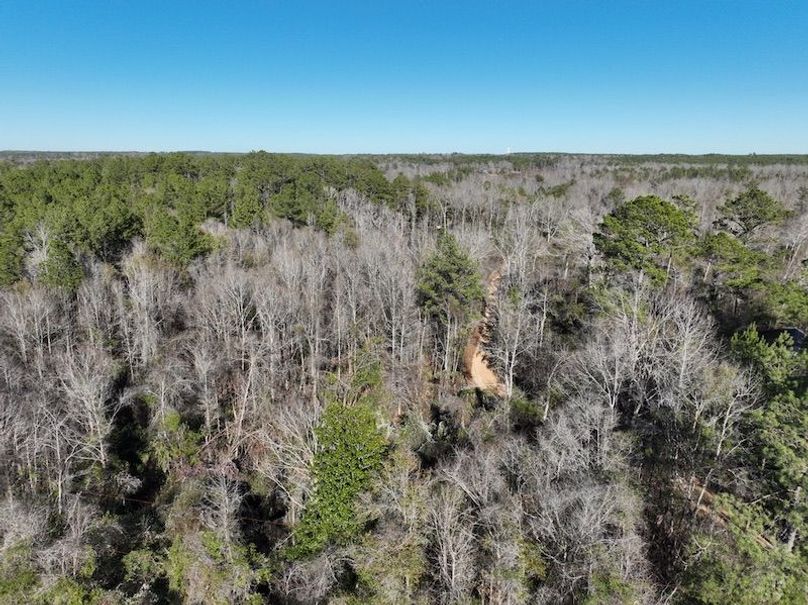 013B052B-347B-46A0-B8D9-5E89B1FB6E3C_1_105_c